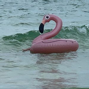 Meet your Posher, Sam